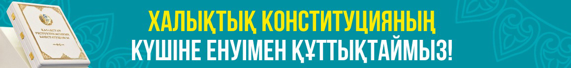 Конституция