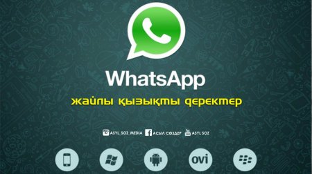 WhatsApp жайлы қызықты деректер