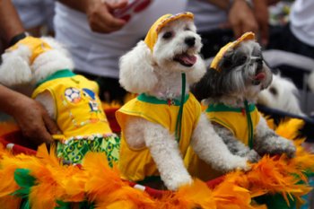 Рио-де-Жанейродағы карнавалда иттер шеруі өтті