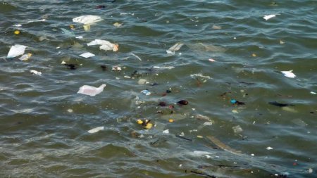 Ғалымдар теңіздегі пластикті ыдыратып жіберетін құрылғы ойлап тапты