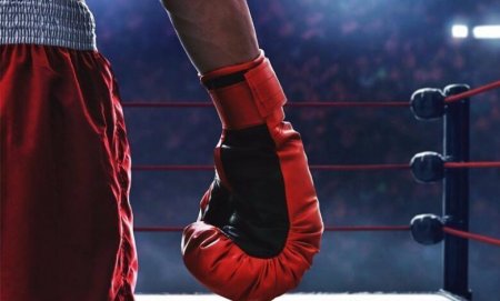 Әлем чемпионаты: 4 қазақстандық боксшы финалға шықты