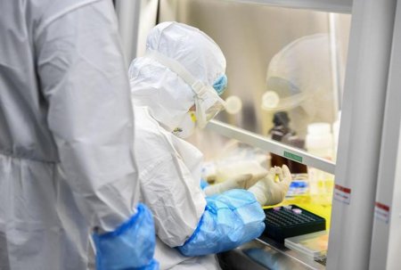 Қытайда H3N8 құс тұмауының адамға жұққаны анықталды