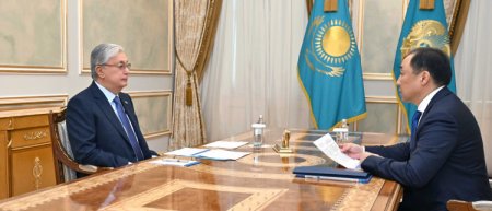 Нұрлан Сауранбаев Президентке есеп берді