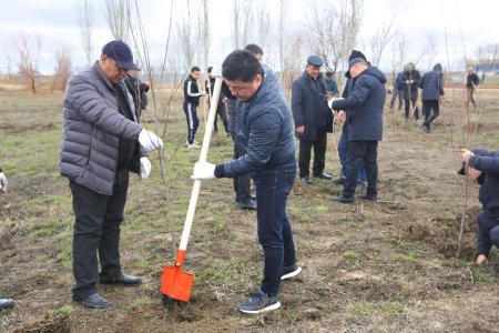 ШИЕЛІДЕ ТАЗАРУ КҮНІНЕ ОРАЙ ЖАППАЙ СЕНБІЛІК ӨТТІ