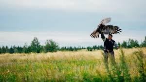 Көшпенділер ойыны: Құсбегілердің дайындығы қалай