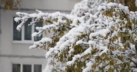 Боран, бұрқасын: Бірнеше өңірде дауылды ескерту жарияланды