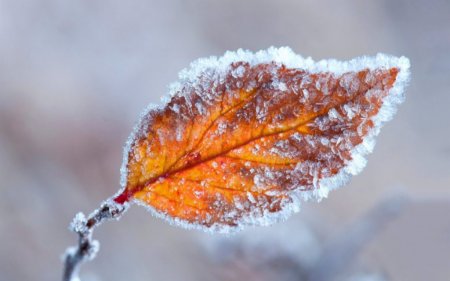 Еліміздің бірнеше өңірінде ауа райына байланысты ескерту жарияланды