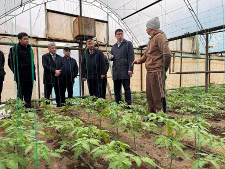 АУЫЛҒА ТІРЕК БОЛҒАН АМАНАТ