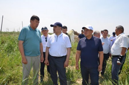 Су тапшылығы бақылауда: МИНИСТР АУДАНҒА ІС-САПАРМЕН КЕЛДІ