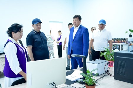 ЖАЙҚАЛҒАН ЖАМБЫЛДАН ЖАҢАРҒАН ШИЕЛІГЕ