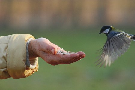 ЖАНАШЫРЛЫҚ ҚОЛДАУ ЖОҒАЛҒАН ЖҰРТ НЕ ҰТАДЫ?