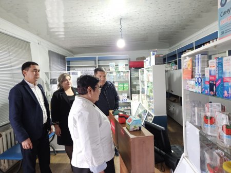 ДӘРІХАНАЛАРДАҒЫ ДӘРІ-ДӘРМЕК БАҒАЛАРЫНА МОНИТОРИНГ ЖҮРГІЗІЛДІ