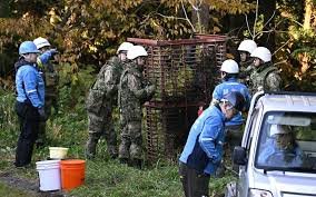 Жапония әскері аюлармен күресуге көмектесіп жатыр