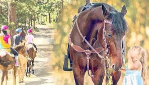 Иппотерапия: жанға дауа, денеге қуат