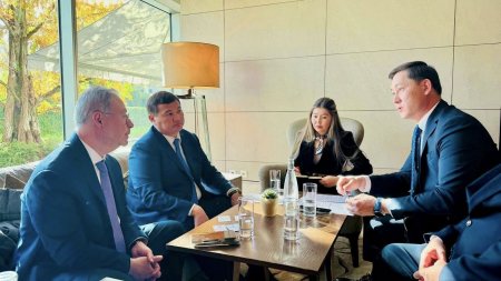 Қызылорда облысы – Швейцария: Жаңа серіктестік бағыттары айқындалды