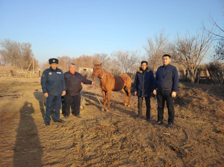 САПАЛЫ ҚЫЗМЕТ – ЕЛ ИГІЛІ ҮШІН