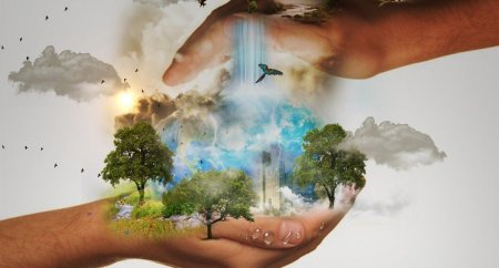 Табиғат бізсіз өмір сүре алады… Ал біз ше?