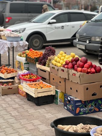 АУЫЛДАН ҚАЛАҒА ЖЕТКЕН ЫРЫС