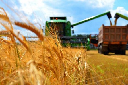 Аграрлық сала өркендемей, экономика өрлемейді