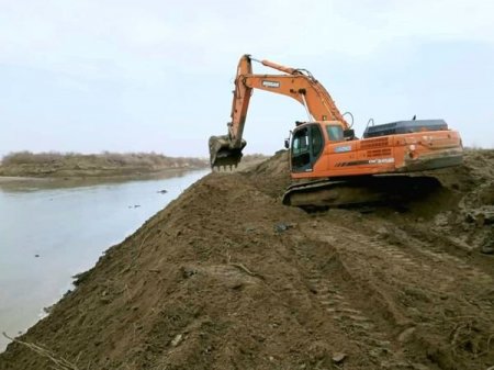 ТІРШІЛІК НӘРІ ТОЛҒАНДЫРЫП ТҰР