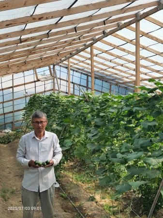 Жылыжайдан табысқа  дейін...