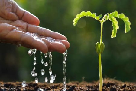 Судың аз болатыны үлкен қауіп Тығырықтан шығу керек жолын тауып