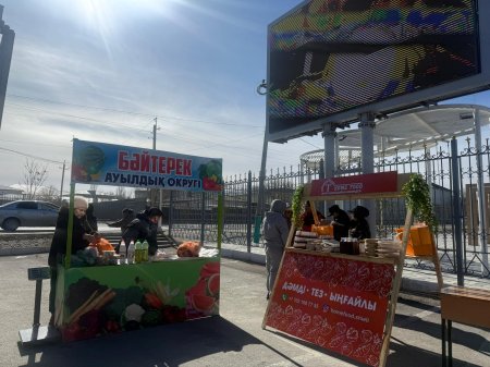 Референдум күні - халыққа пайдалы жәрмеңке өтуде