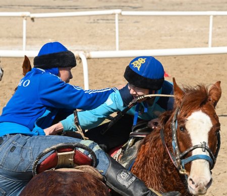 СЫР ӨҢІРІНДЕ ҰЛТТЫҚ СПОРТ КҮНІ АТАЛЫП ӨТТІ