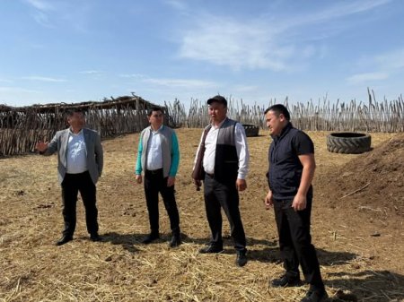 МАЛ ШАРУАШЫЛЫҒЫН ДАМЫТУ ЖҰМЫСТАРЫНА ЗЕРДЕЛЕУ ЖҮРГІЗІЛДІ