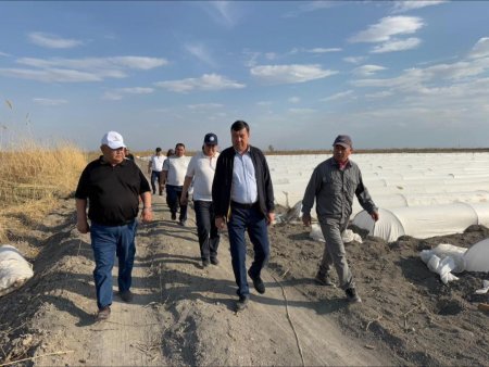 ДАЛА ЖҰМЫСЫ: КӨКТЕМГІ  ЕҢБЕК ҚЫЗА ТҮСТІ