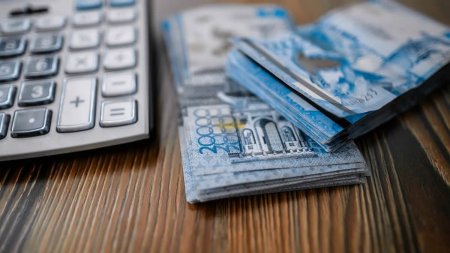 Несие:  мүмкіндік пе, қаржылық тұзақ па?