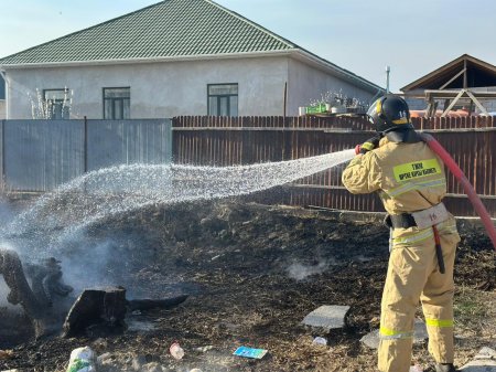 ҚАУІПКЕ ҚАРСЫ ҚАЛҚАН