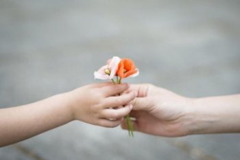 МЕЙІРІМ ӘЛСІРЕСЕ, ҚОҒАМ ҚАЙДА БАРАДЫ?