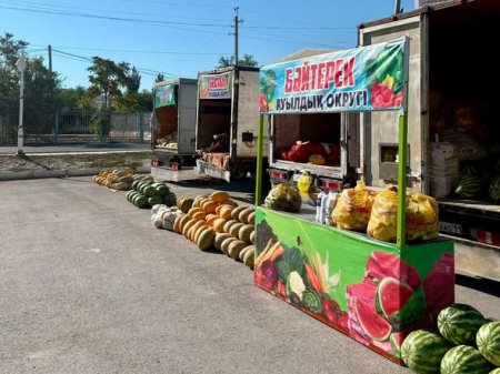 ШИЕЛІДЕ ҚҰРЫЛТАЙ САЙЛАУЫНА ОРАЙ АУЫЛ ШАРУАШЫЛЫҒЫ ЖӘРМЕҢКЕСІ ӨТУДЕ