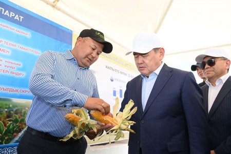 Су үнемдеу технологиясымен жүгері өсіру жобалары таныстырылды