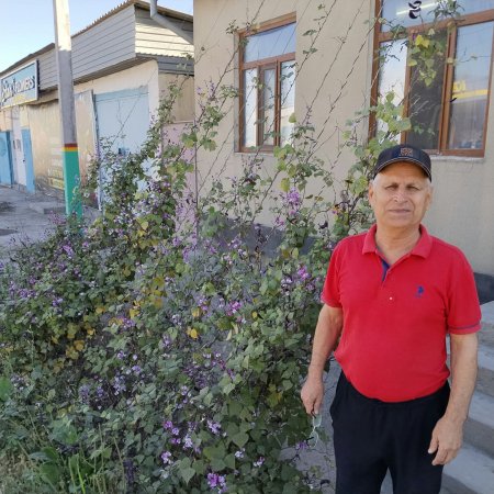 Көшенің сәніне айналған – бөртегүл