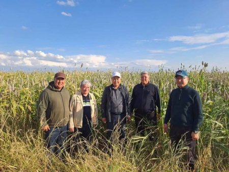 ҚҰМАЙ ЕККЕННІҢ –  СУЫ ҮНЕМ, ЫРЫСЫ МОЛ
