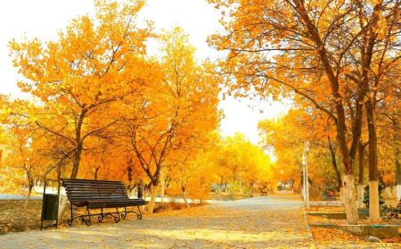 Күз туралы қызыққа толы 5 дерек